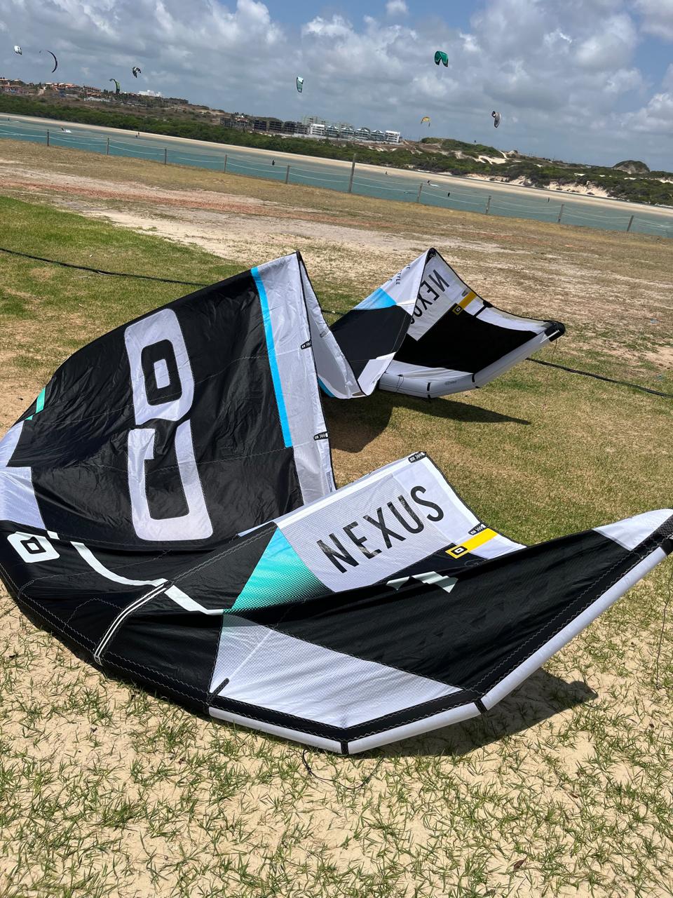 Kite estendido na grama à beira da lagoa